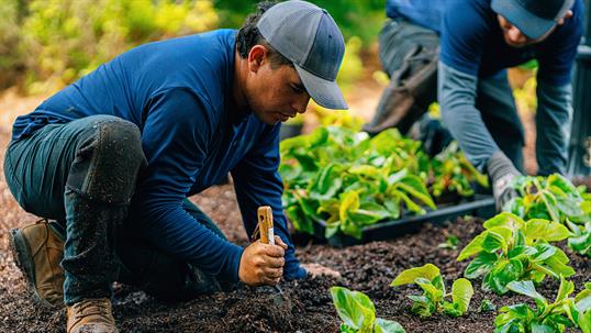 Eco-Friendly Landscaping Solutions for Albuquerque Homes