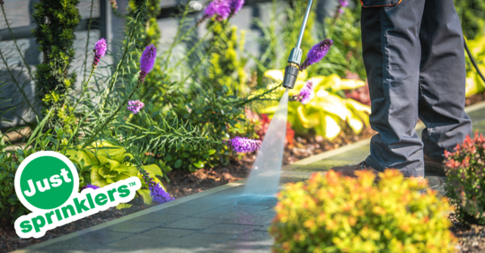 Choosing the Right Mulch for Albuquerque Gardens