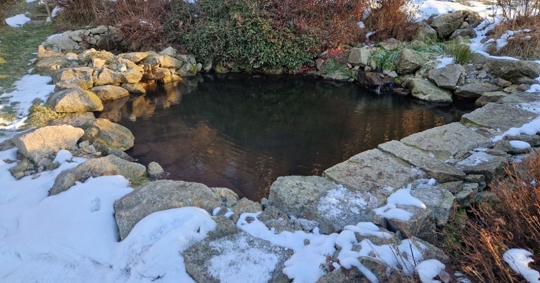 Small pond with rocks and snow all around