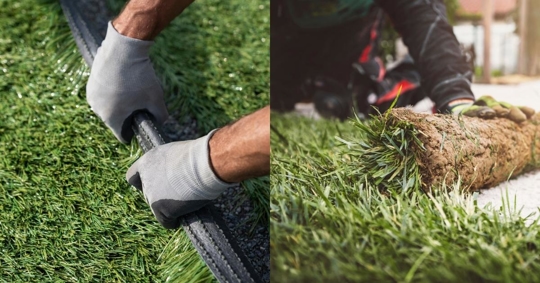 Side by Side Photo of Synthetic Turf and Natural Sod Installations