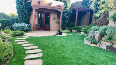 Synthetic Turf Photo